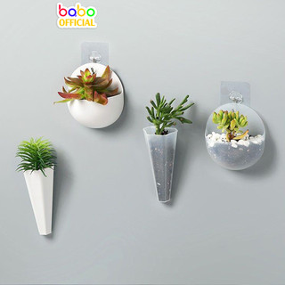 Chậu trồng hoa treo tường bình hoa nhựa treo tường chậu trồng cây dán tường babo (TG22)