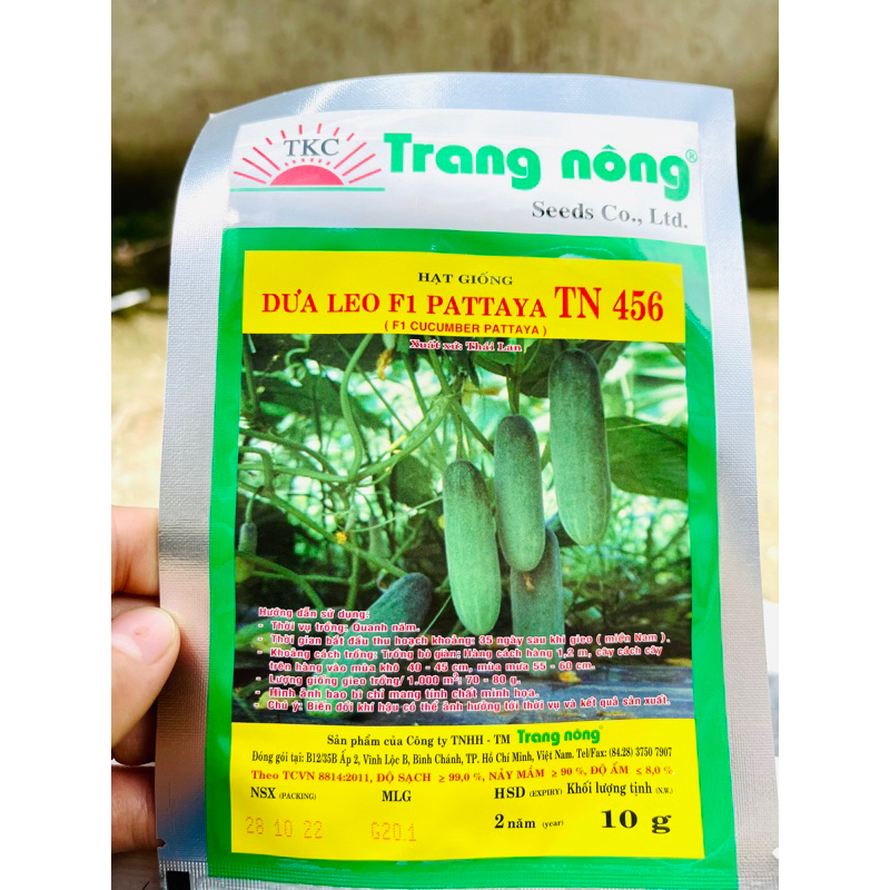 Hạt giống dưa leo F1 Pattaya TN 456-10gram