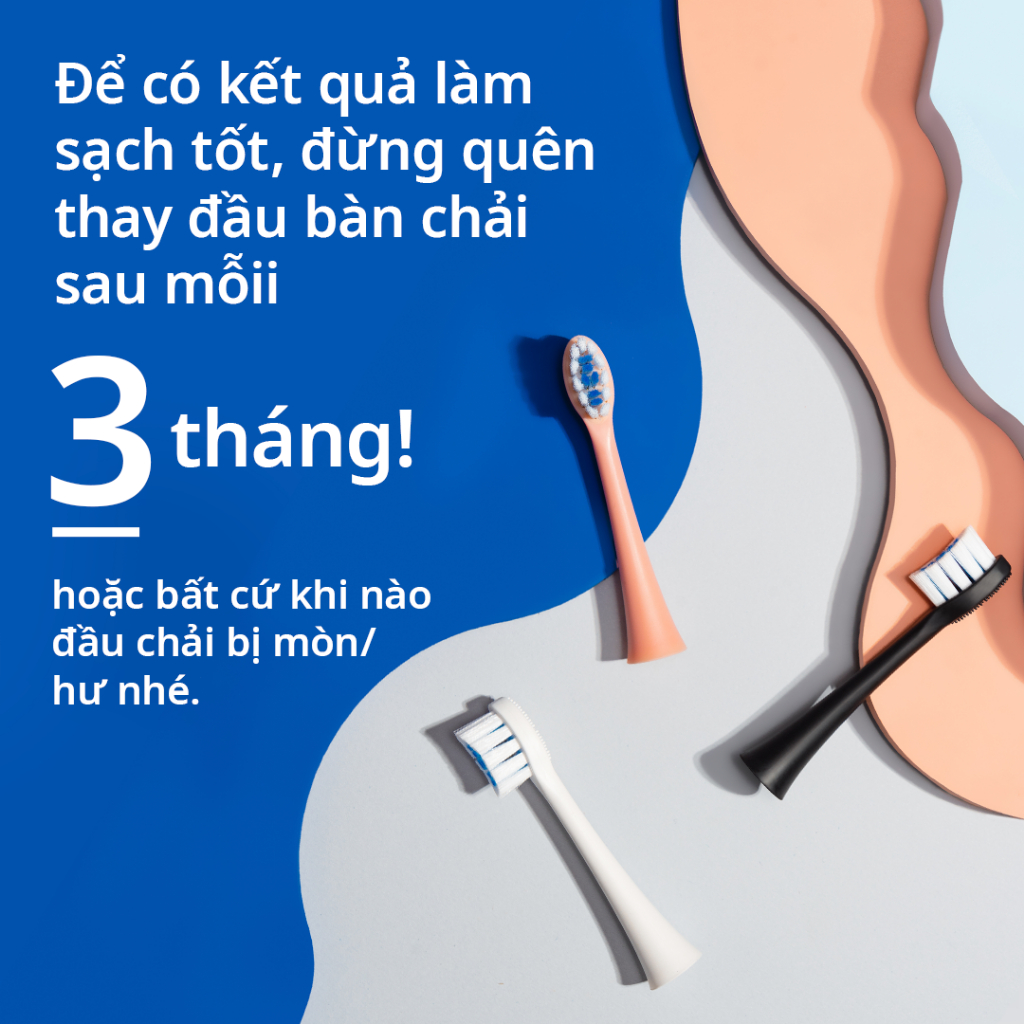 [SẢN PHẨM MỚI] Hộp 4 Đầu Bàn Chải ZenyumSonic Phiên Bản Êm Dịu - Màu Đen/Trắng/Hồng