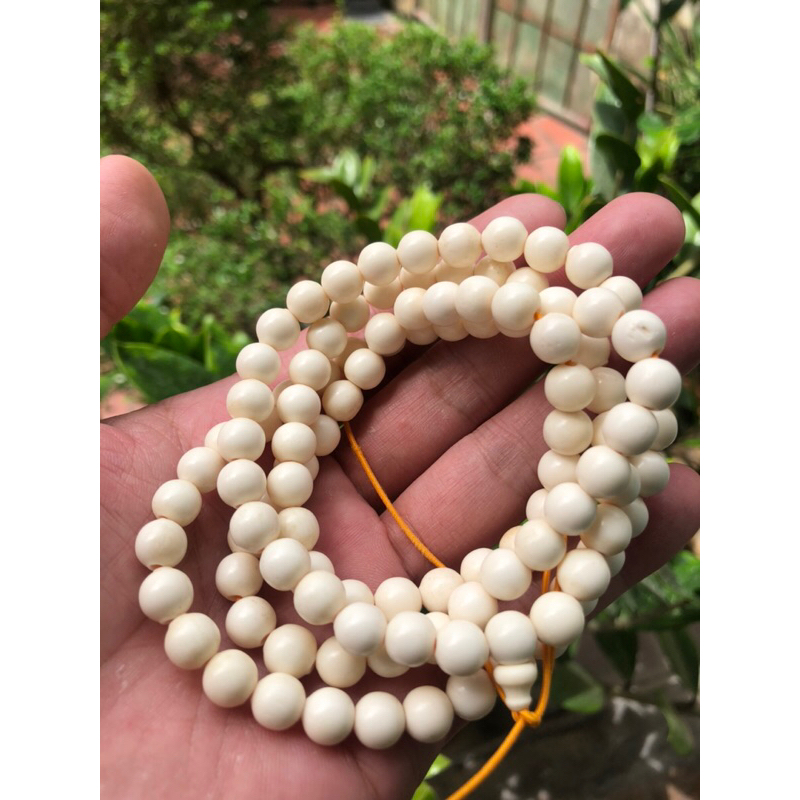 Vòng chuỗi , tràng đeo tay , đeo cổ bằng xương cao cấp xuất khẩu 108 hạt/6 đến 8ly hạt tròn