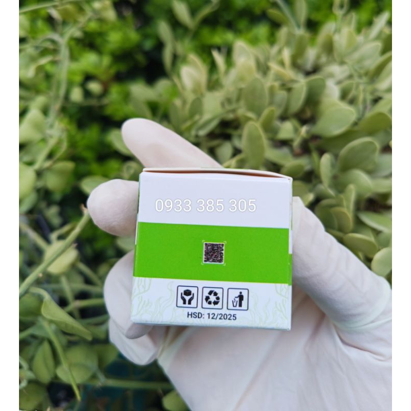 DR PEED VI TẢO BIỂN