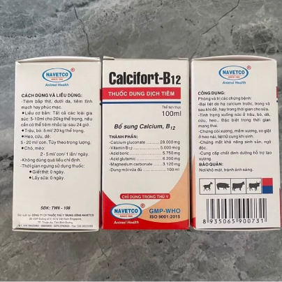 Calcifort B12 chai 100ml