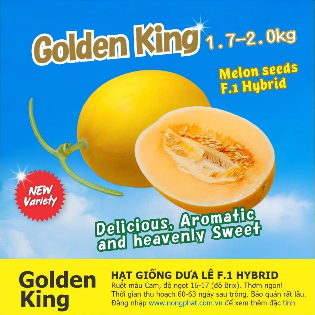 Hạt Giống Dưa Lê GOLDEN KING - Giống Nhật Khẩu F1