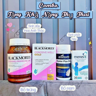 Combo tăng khả năng thụ thai úc -( Menevit + hàu + hoa anh thảo + bổ trứng )