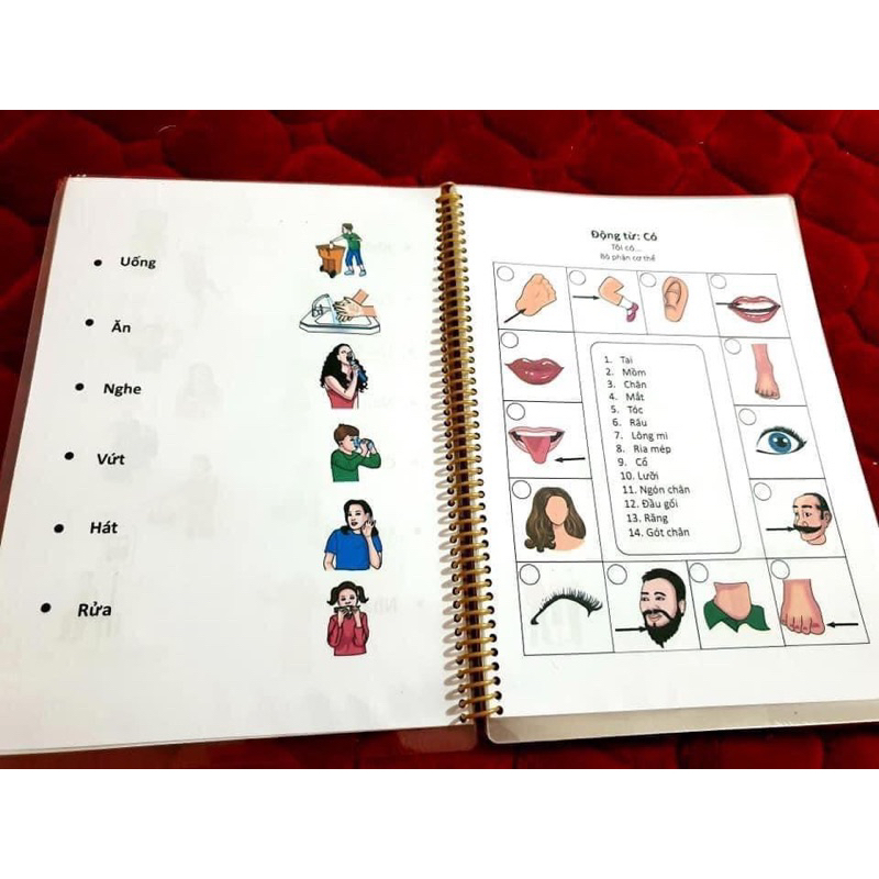 Học liệu tổng hợp