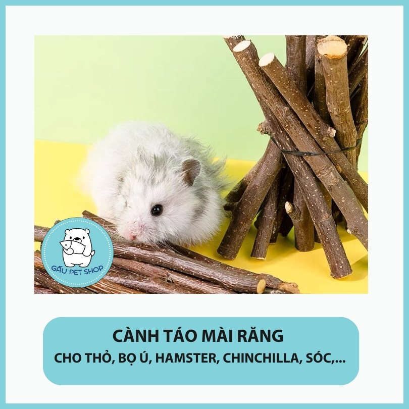 Cành táo mài răng cho Hamster, nhím, sóc, Chinchilla… - Gau.petshop
