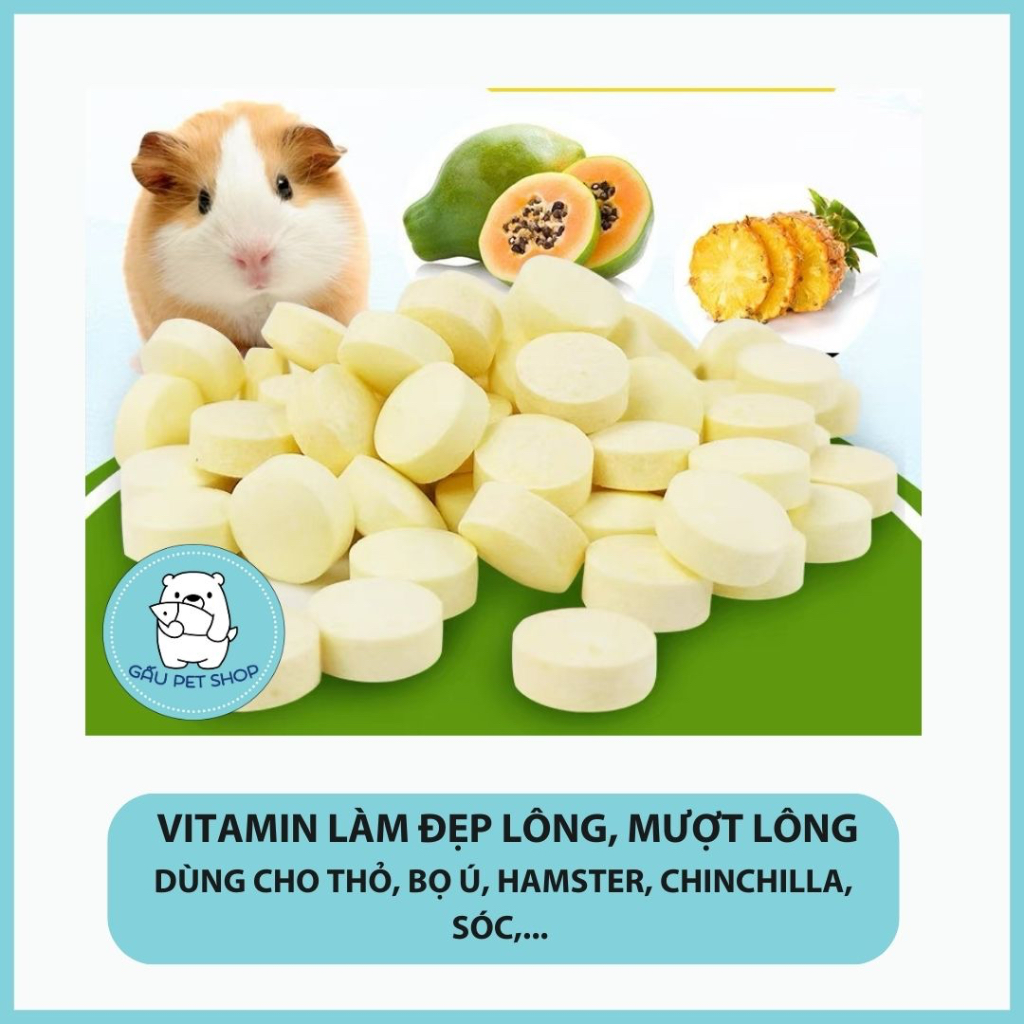Vitamin làm đẹp lông, tiêu lông cho hamster, Bọ ú, thỏ, sóc, Chinchilla – Gau.petshop