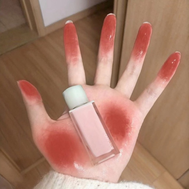 Son Bóng Son Kem Lì CAPPUVINI Water Gloss bản Dupe  Joocyee