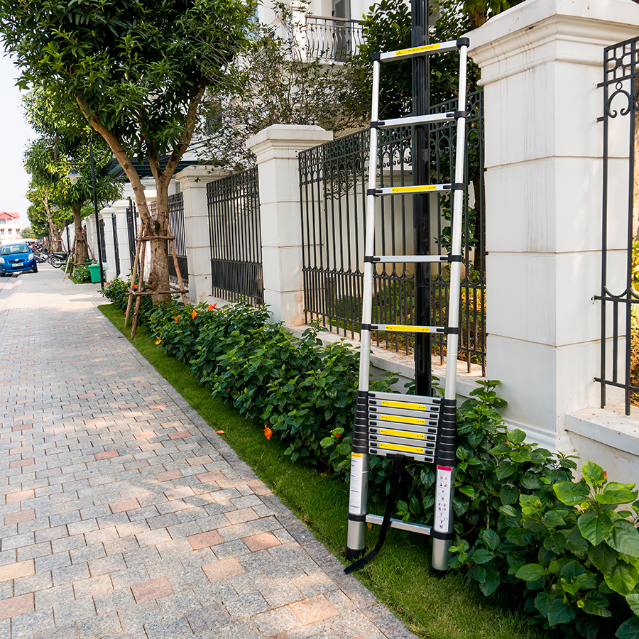 THANG NHÔM RÚT ĐƠN 5.0m Nhôm T8030  DAMITA HÀN QUỐC 2022 cao cấp hàng nhập khẩu bảo hành 24 tháng