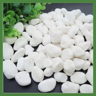 sỏi trắng trang trí kích thước 1-2cm