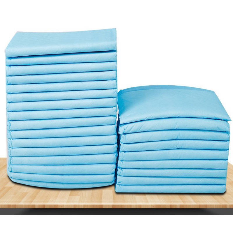 Tả lốt chuồng, khay vệ sinh cho chó, mèo