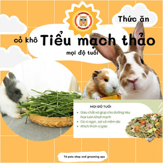 cỏ tiểu mạch thảo cho thỏ gunea pig sóc bắc mỹ (nguyên cọng)