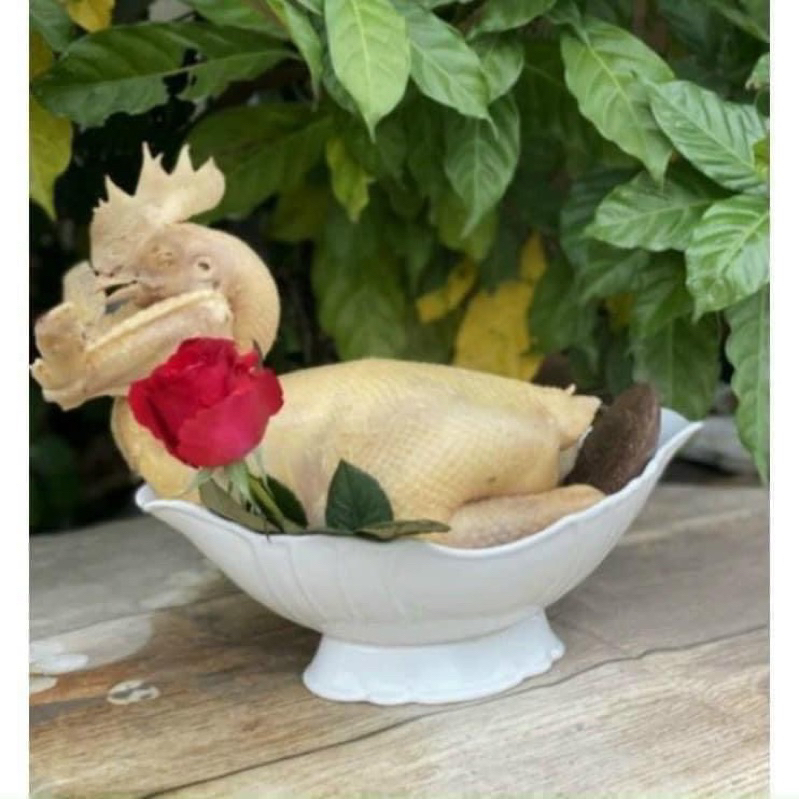 Bát thuyền đựng gà