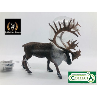 Mô hình động vật , đồ chơi con vật CollectA chính hãng Tuần lộc núi 88709 - Schleich House