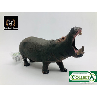 Mô hình động vật , đồ chơi con vật CollectA chính hãng Hà mã há miệng 88833 - Schleich House