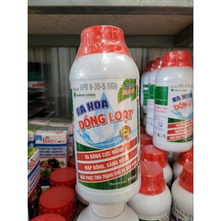 Kích bông ra hoa đông loạt