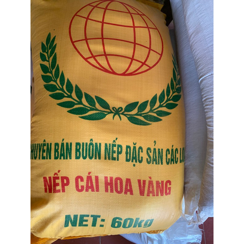 Gạo nếp Hoa Vàng