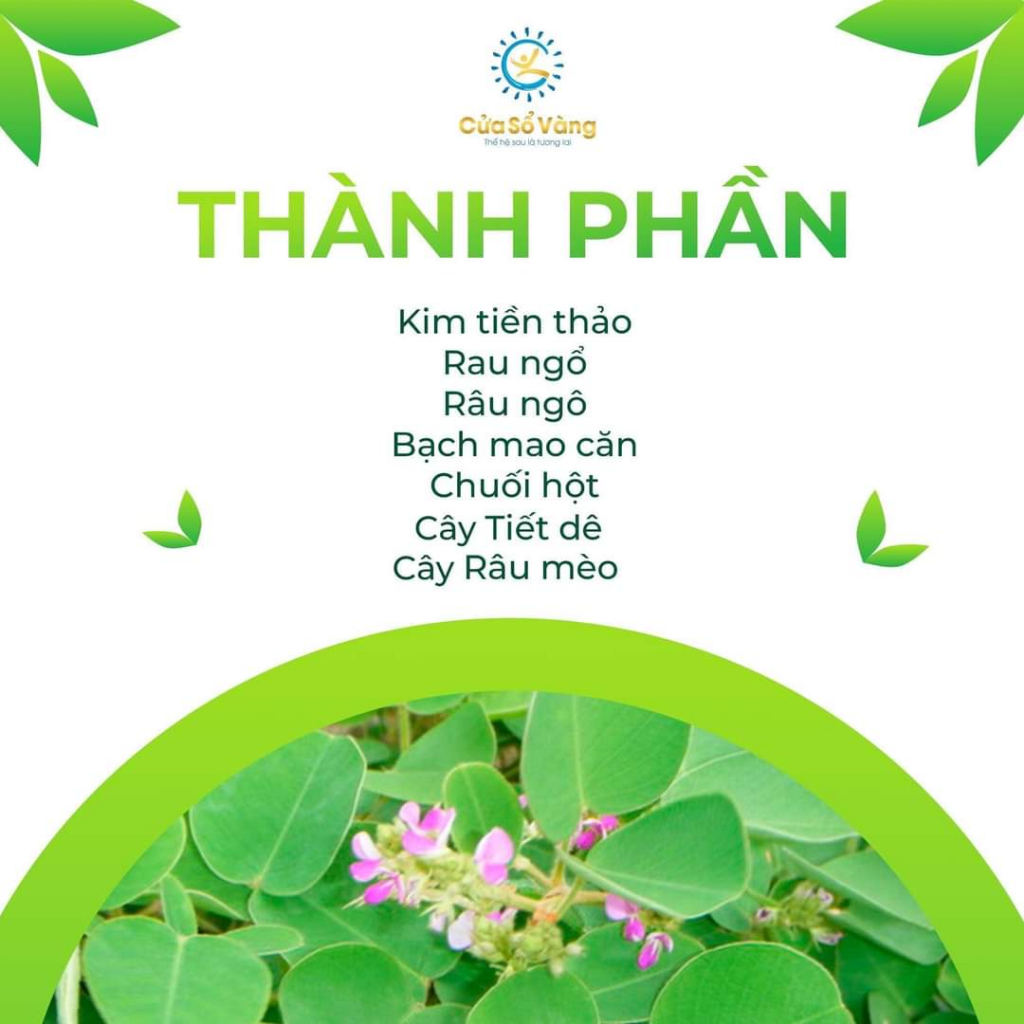 Thanh Niệu Thảo Cửa sổ vàng - Hỗ Trợ Đào Thải Cặn Lắng Đường Tiết Niệu