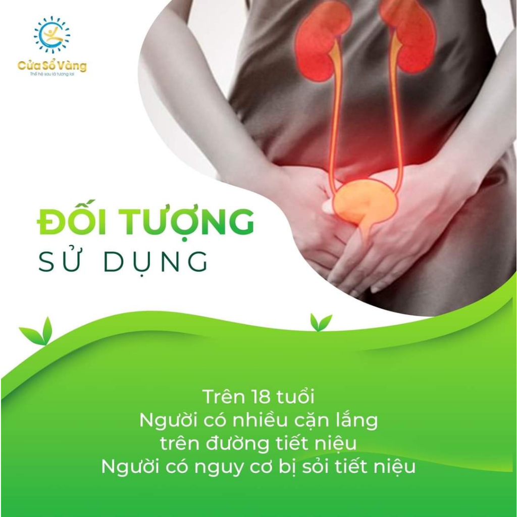 Thanh Niệu Thảo Cửa sổ vàng - Hỗ Trợ Đào Thải Cặn Lắng Đường Tiết Niệu
