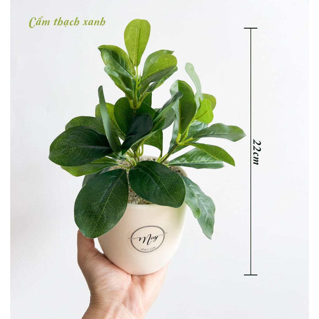 Cây giả, Chậu cây Cẩm Thạch để bàn trang trí