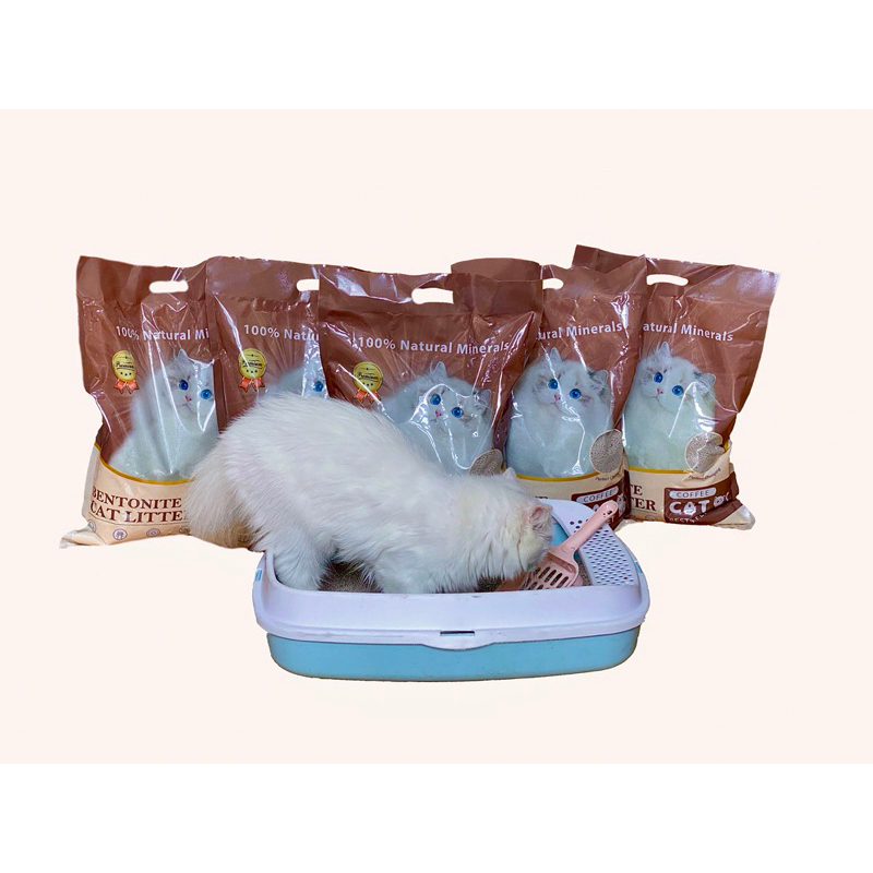 Cát mèo nhập khẩu túi 4KG giá rẻ chất lượng FREESHIP