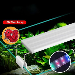 Đèn led máng kẹp thành bể cá loại 30cm cho bể cá cảnh.