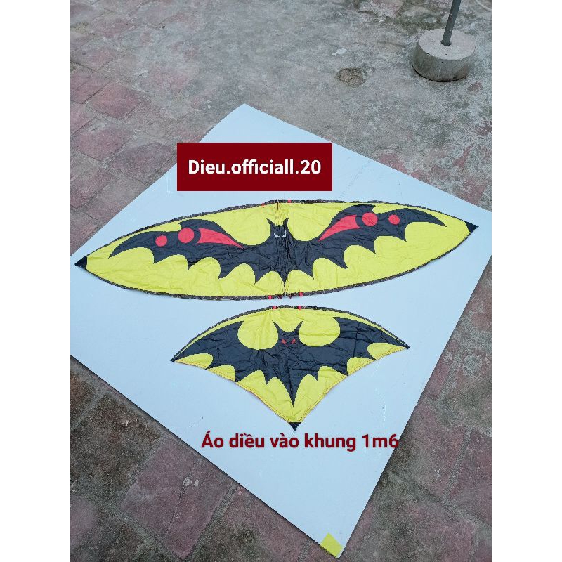 Áo diều vào khung 1m6