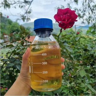 Tinh Dầu Tía Tô Sapa Secrets