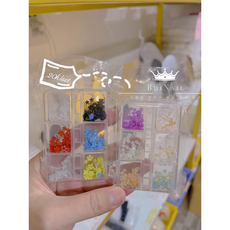 SET 6MÀU HOA NHÍ MIX BI