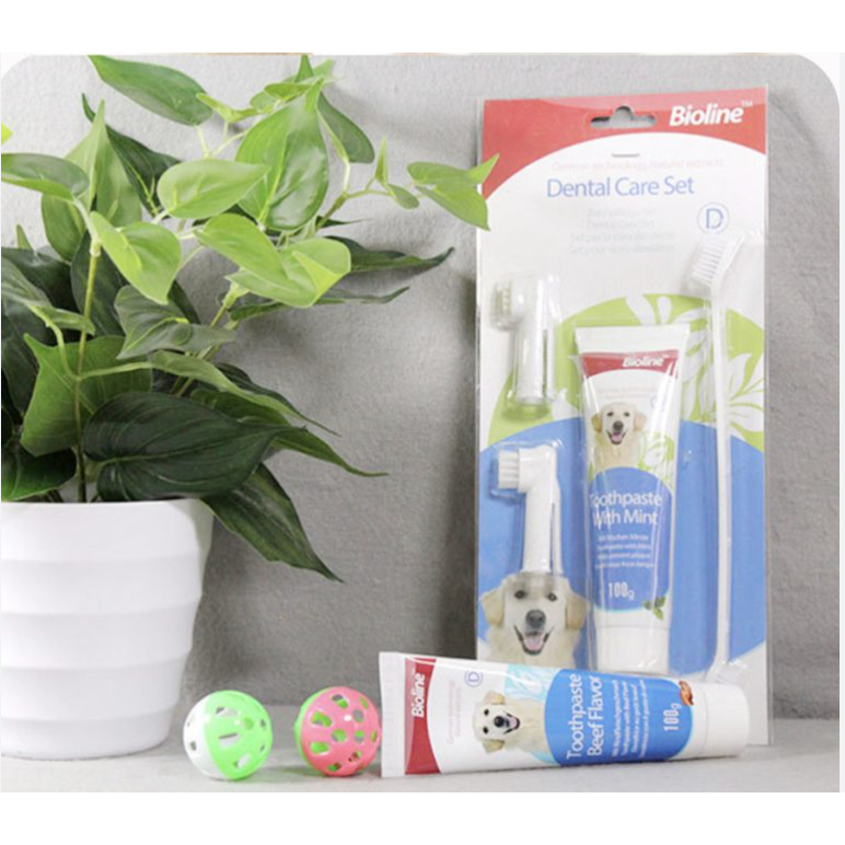 Bộ bàn chải & kem đánh răng hương bạc hà Bioline cho chó - ForB Pet Shop