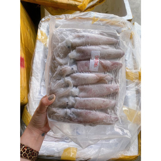 HỎA TỐC - MỰC TRỨNG 1KG