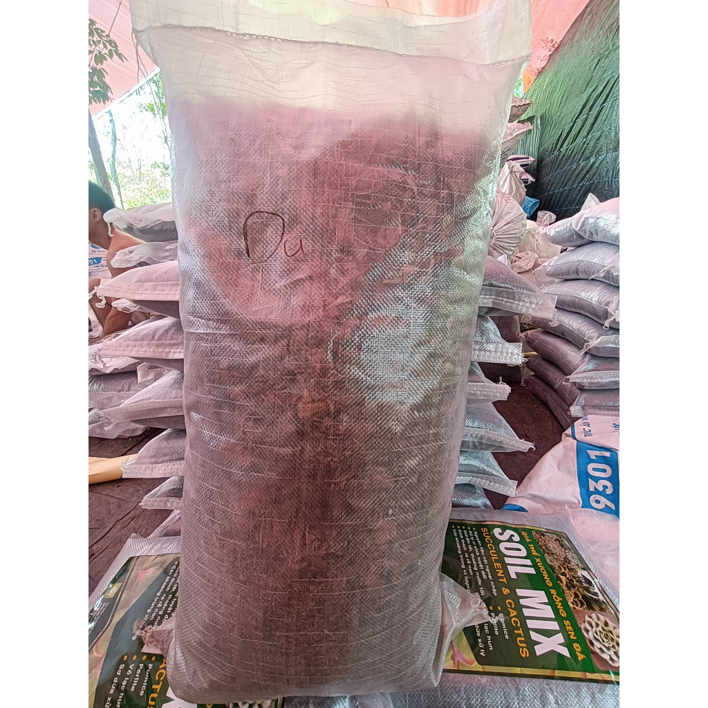 Sơ Chóp Dừa Cắt 2-3cm đã xử lý