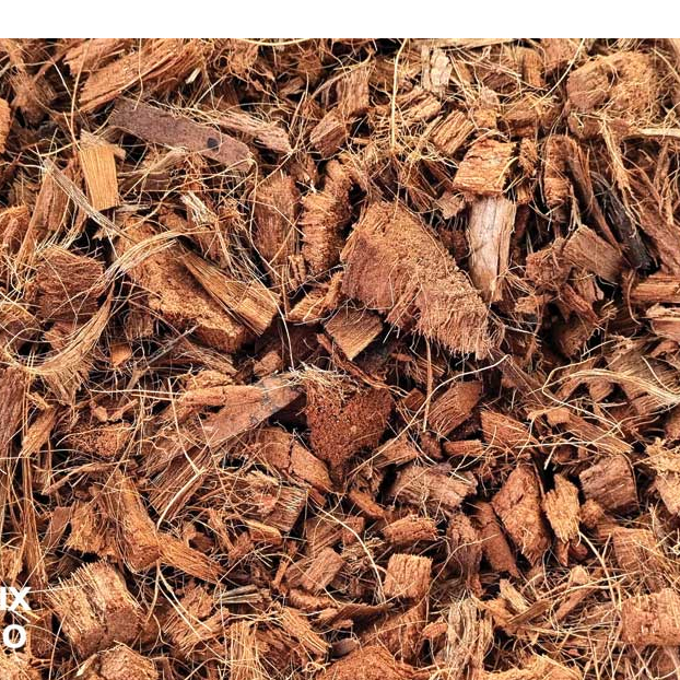 Sơ Chóp Dừa Cắt 2-3cm đã xử lý