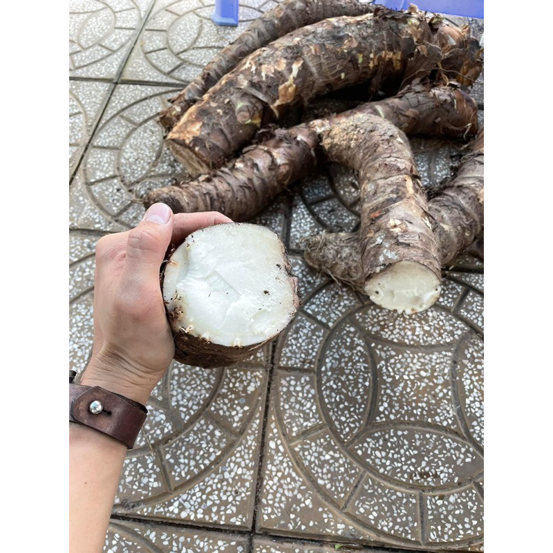 bạc hà núi 10kg