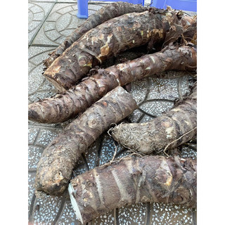 bạc hà núi 10kg
