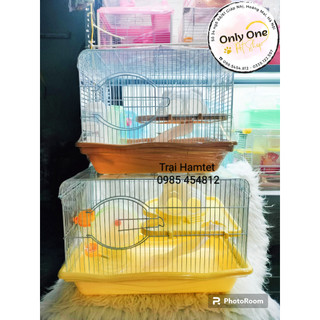 Lồng mèo size đại cho Hamster
