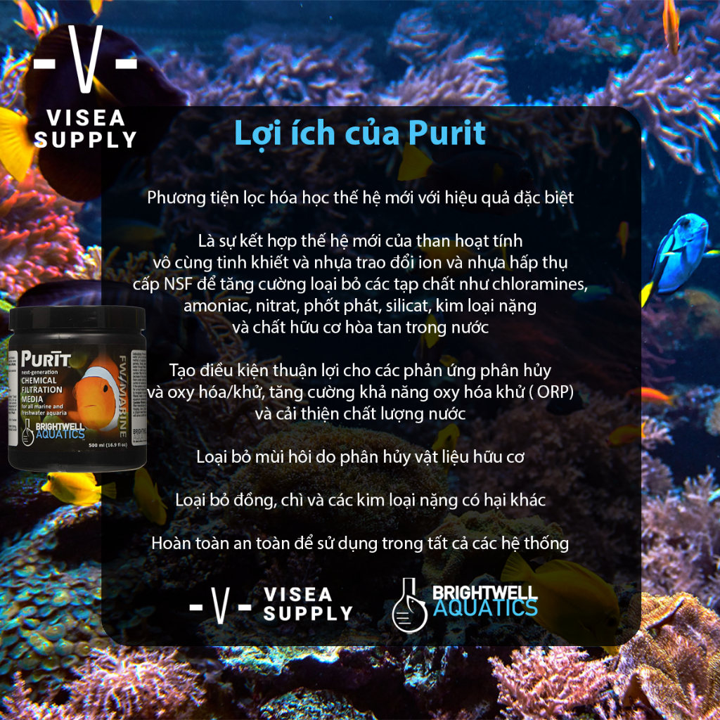 PURIT 250ml - BRIGHTWELL