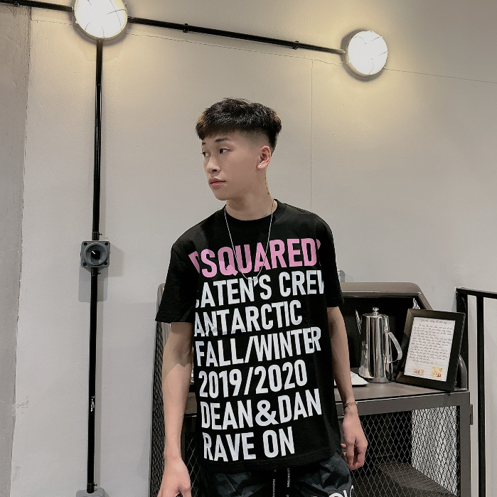 Áo Thun Nam DSQ 069 Hình In Nhiệt Cao Cấp Vải Cotton Co Dãn 4 Chiều Phù Hợp Cho Nam