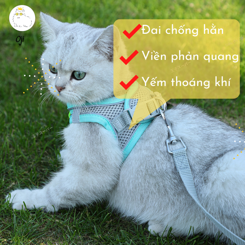 Dây Dắt Chó Mèo, 150 cm, Chống Hằn Cổ, Kèm Yếm Cao Cấp Phong Cách Hàn Quốc