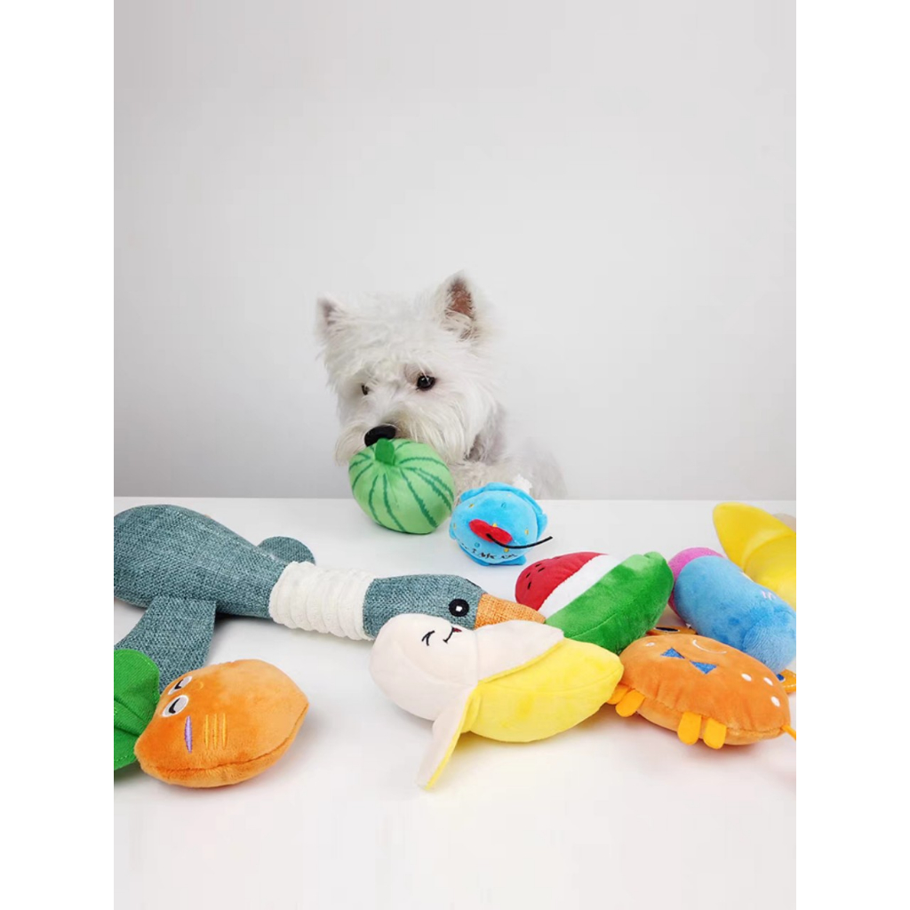 Đồ chơi chó mèo giảm stress, giảm cắn phá đồ đạc - Đồ chơi thú cưng nhiều loại