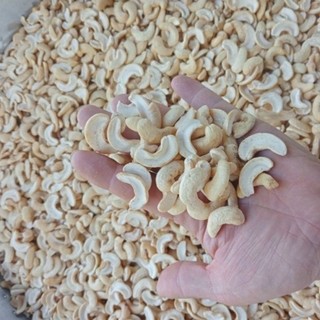 (Mã NSF02P125 giảm 25K) 500gr Hạt Điều Sống làm Sữa hạt (Điều Bình Phước)