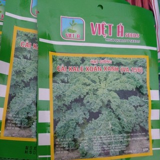 Cải kale xoăn xanh-hạt giống
