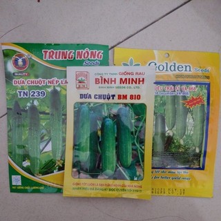 Dưa chuột- hạt giống các loại