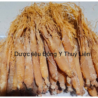 Nhị hồng sâm loại 1