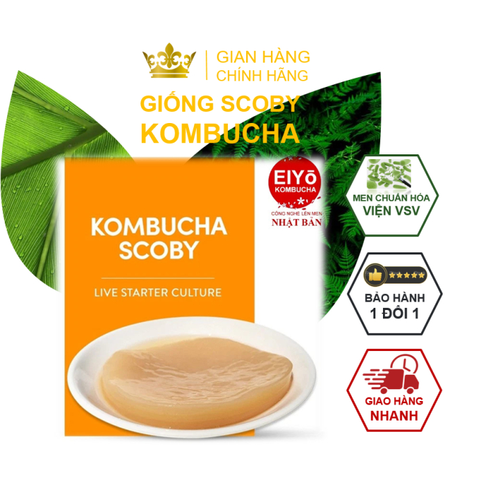 SCOBY ORGANIC LÀM TRÀ KOMBUCHA ( Được chuẩn hóa tại Viện Vi Sinh và Nuôi Theo Công NGhệ NHẬT BẢN tại BA VÌ)