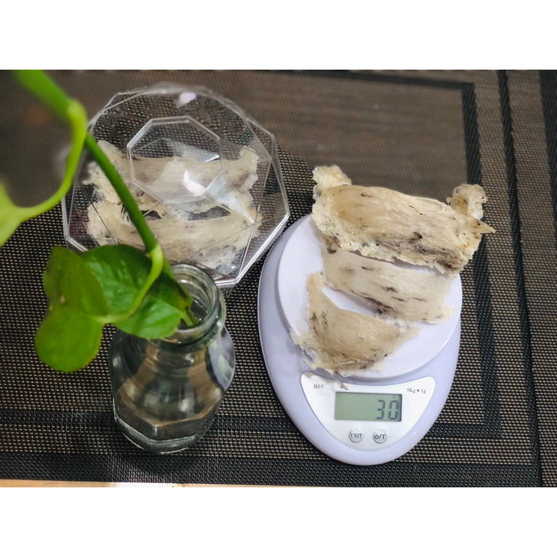 10g tổ yến Cà Mau nhiều khoáng chất yến sào tổ đẹp số lượng có hạn