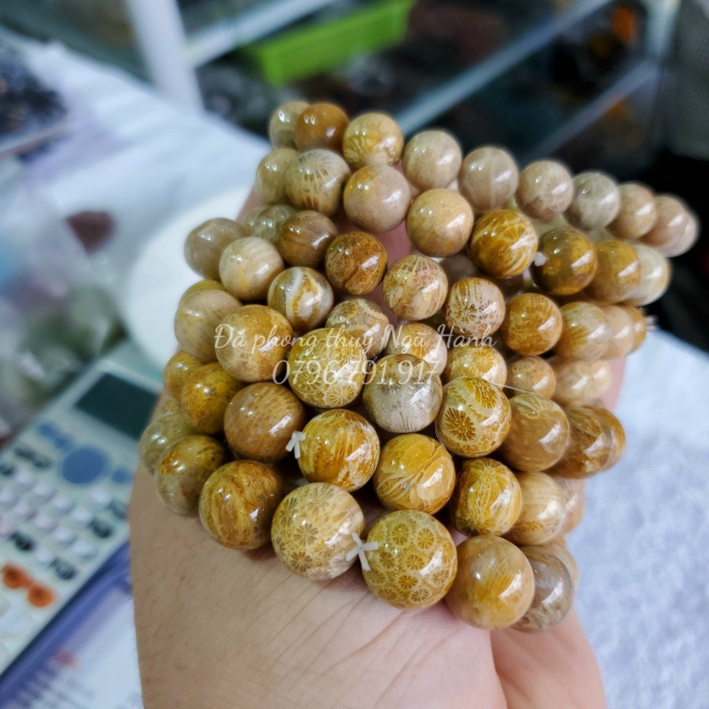 Vòng san hô hóa thạch vàng tự nhiên - có kiểm định