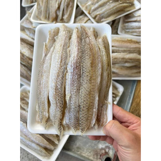 Cá mối file 1 nắng