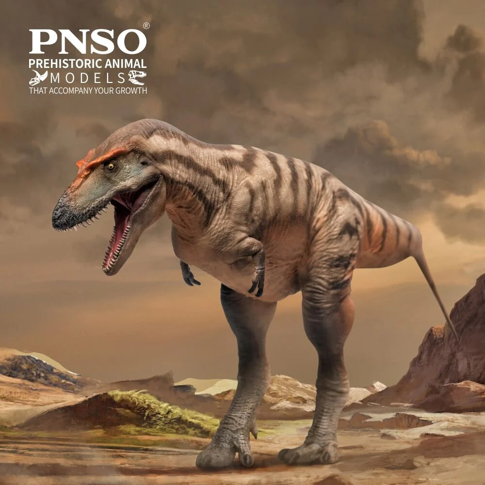 Mô Hình Khủng Long Gorgosaurus Tristan Model tỉ lệ 1/35 Chính hãng PNSO