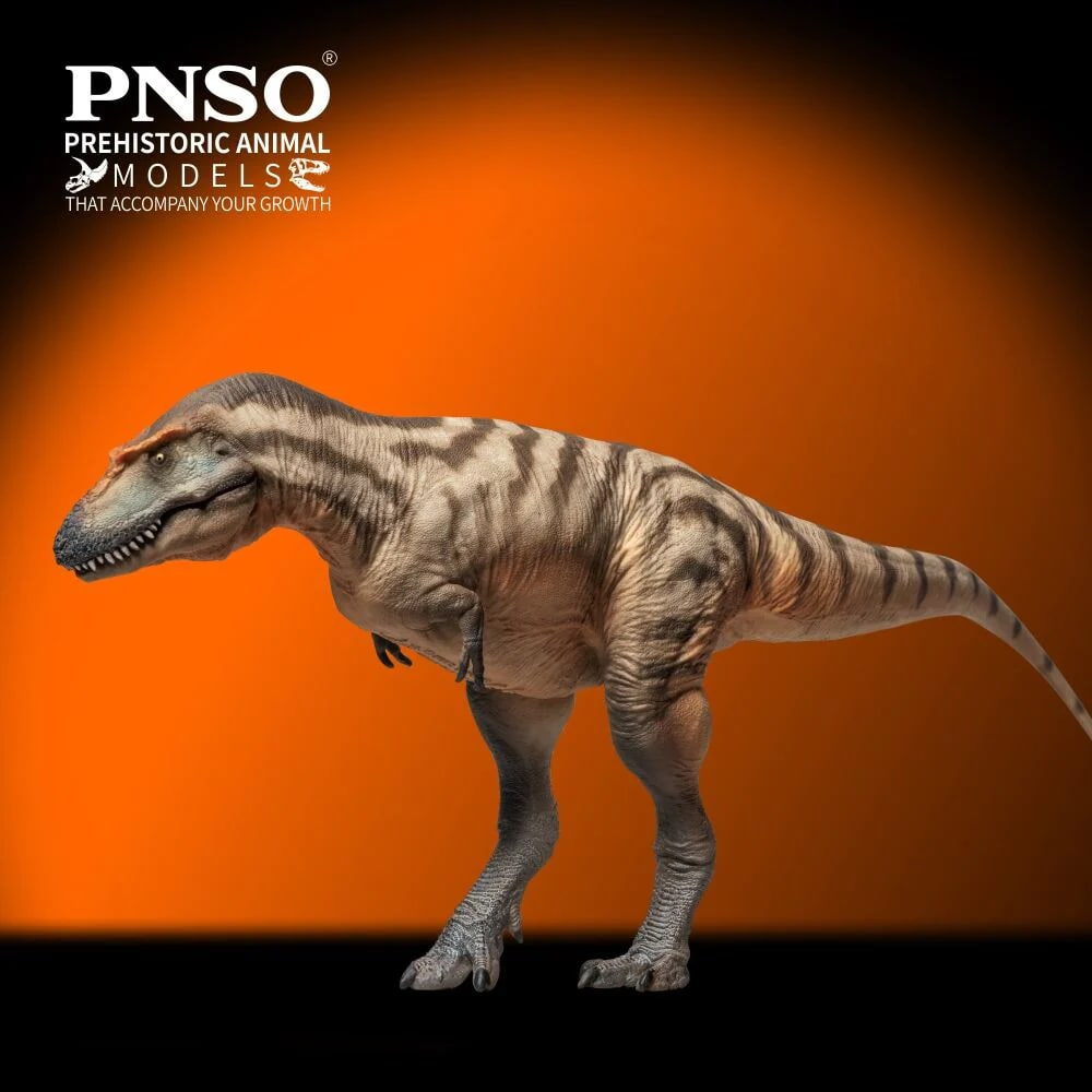Mô Hình Khủng Long Gorgosaurus Tristan Model tỉ lệ 1/35 Chính hãng PNSO